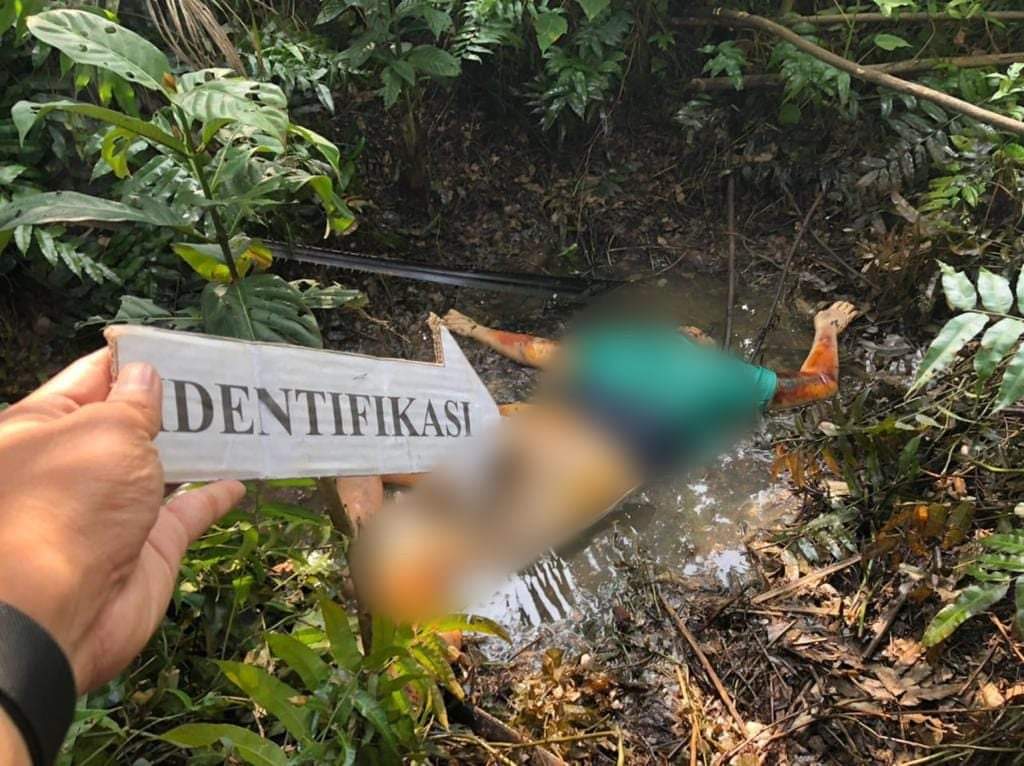 Polisi Ungkap Pelaku Pembunuhan Wanita di Kebun Sawit, Diduga Kekasih Korban