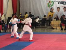 Karateka Pelalawan Sumbang 2 Emas Porprov X di Kuansing