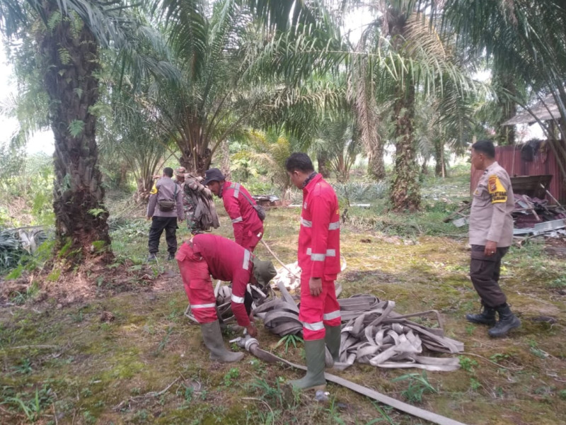 BMKG Pantau 292 Hotspot Karhutla di Sumatera, Sumsel Terbanyak