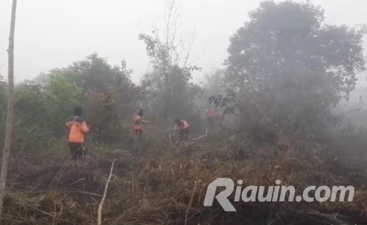 2 Hektar Lahan HGU PT Alam Sari Lestari di Inhu Terbakar