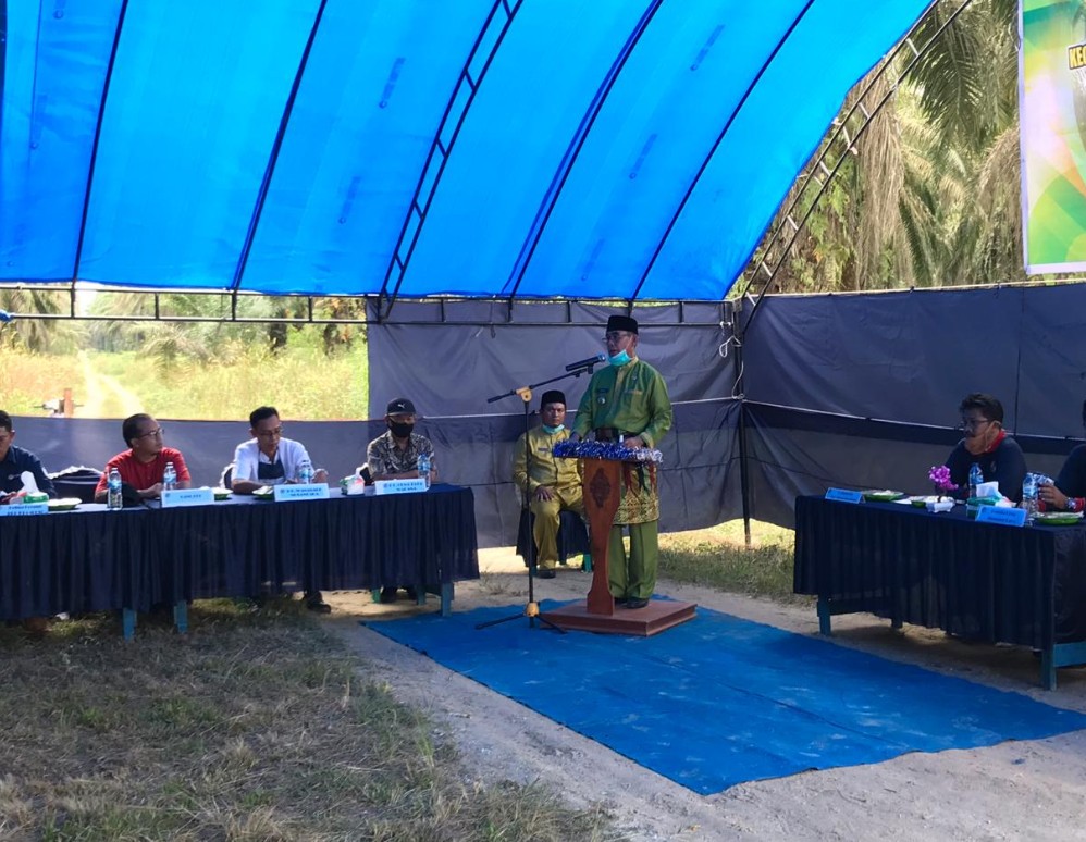 Bupati Mursini Hadiri Launching Peremajaan Sawit KUD Tupan Tri Bakti, Singingi Hilir