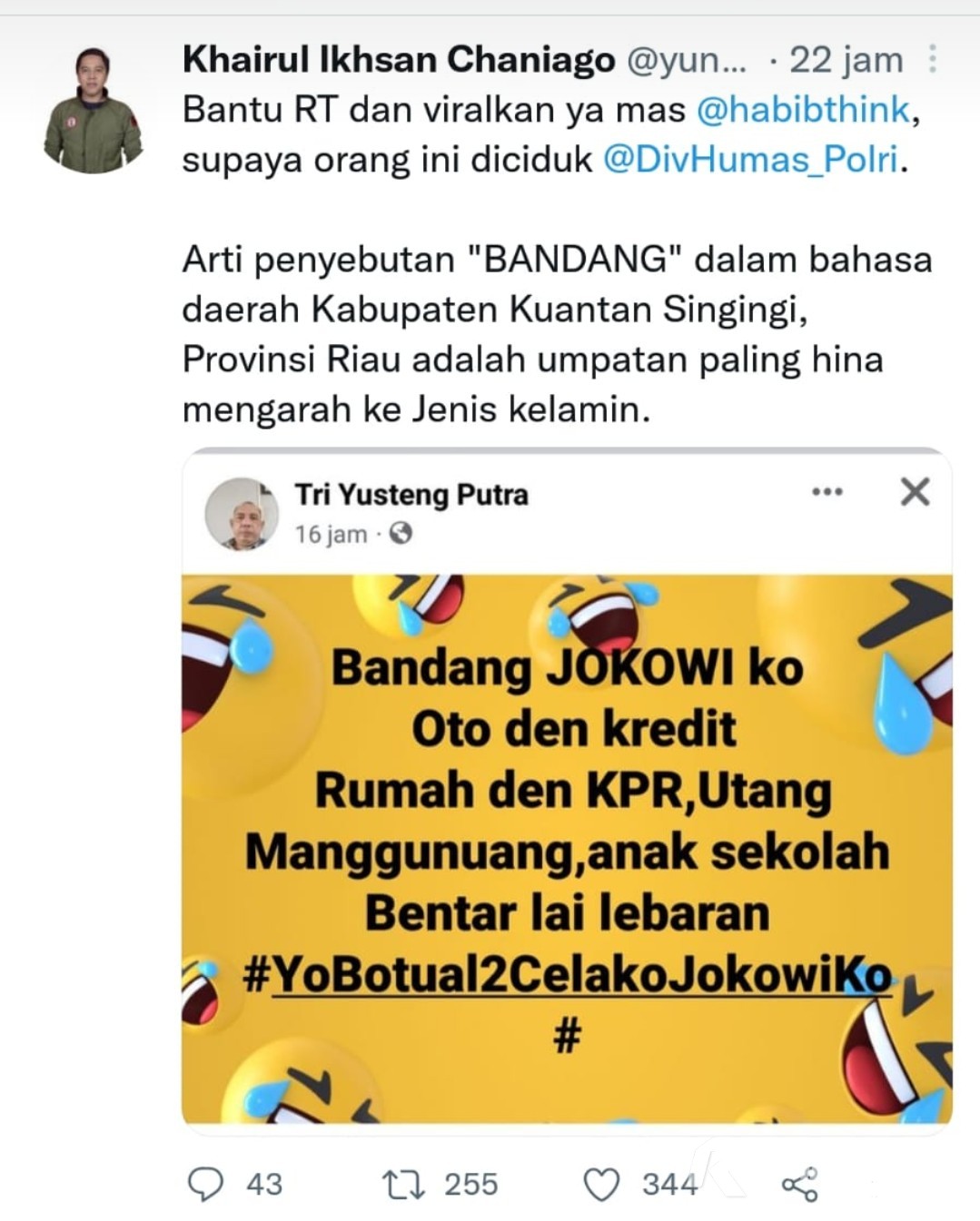 Hina Jokowi di Facebook, Pemilik Akun TYP Bisa Dipidana
