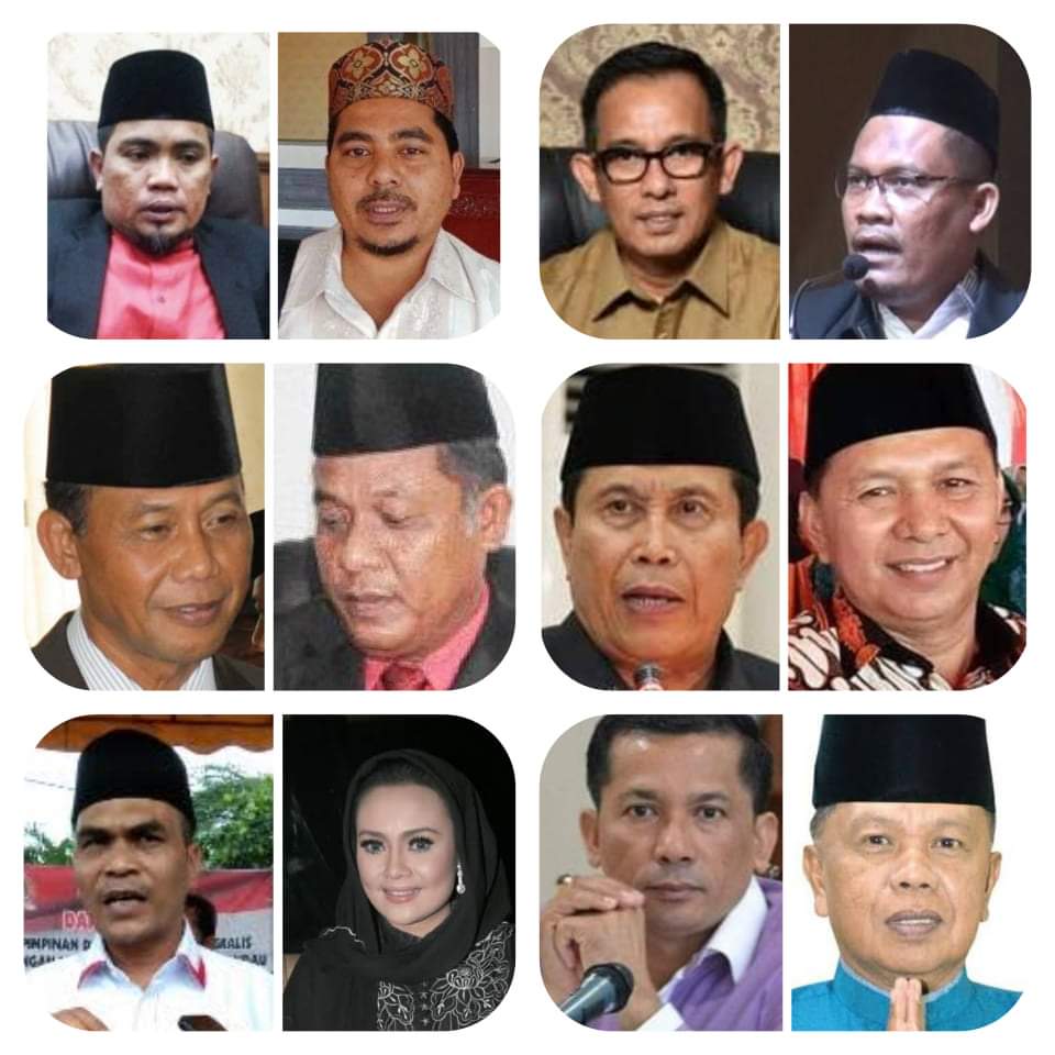 Megawati Umumkan Jagoan Pilkada Serentak 2020, Ini 6 Paslon PDIP Riau