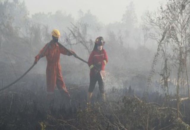 Agustus Ini, 560 Hektar Lahan dan Hutan di Samosir Terbakar, Ada 46 Hotspot