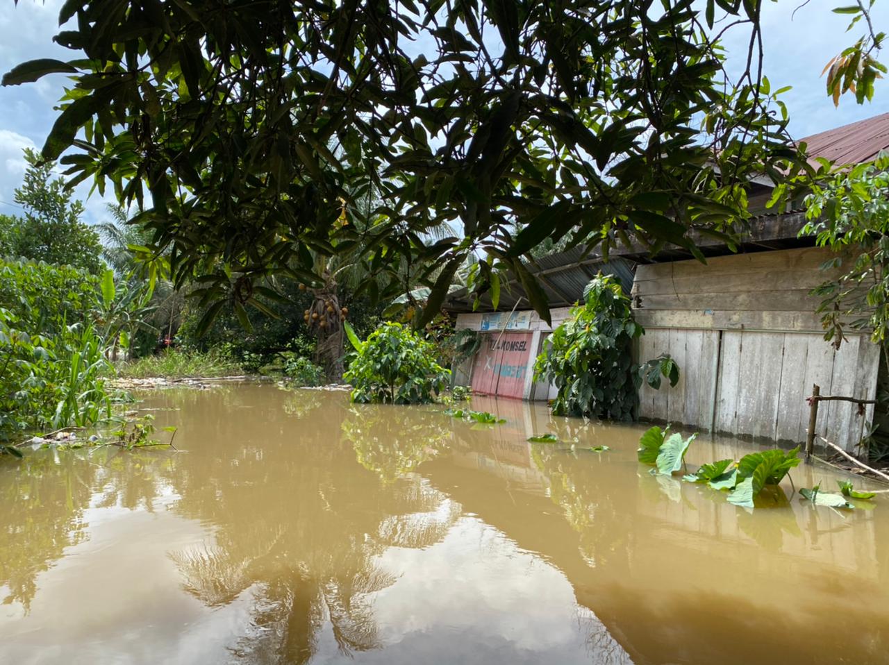 Air Sungai Meluap, Dua Desa di Batang Gansal Inhu Terendam Banjir