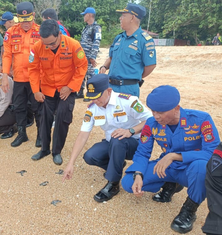 Lestarikan Ekosistem, 150 Ekor Anak Penyu Dilepasliarkan di Pulau Jemur