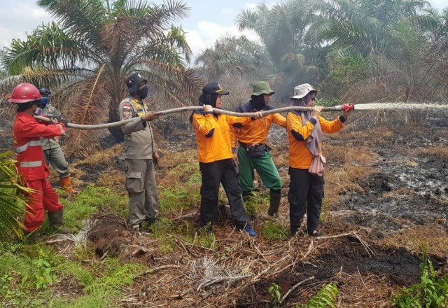 Total 594 Hotspot Karhutla Terdeteksi di 5 Provinsi Sumatera