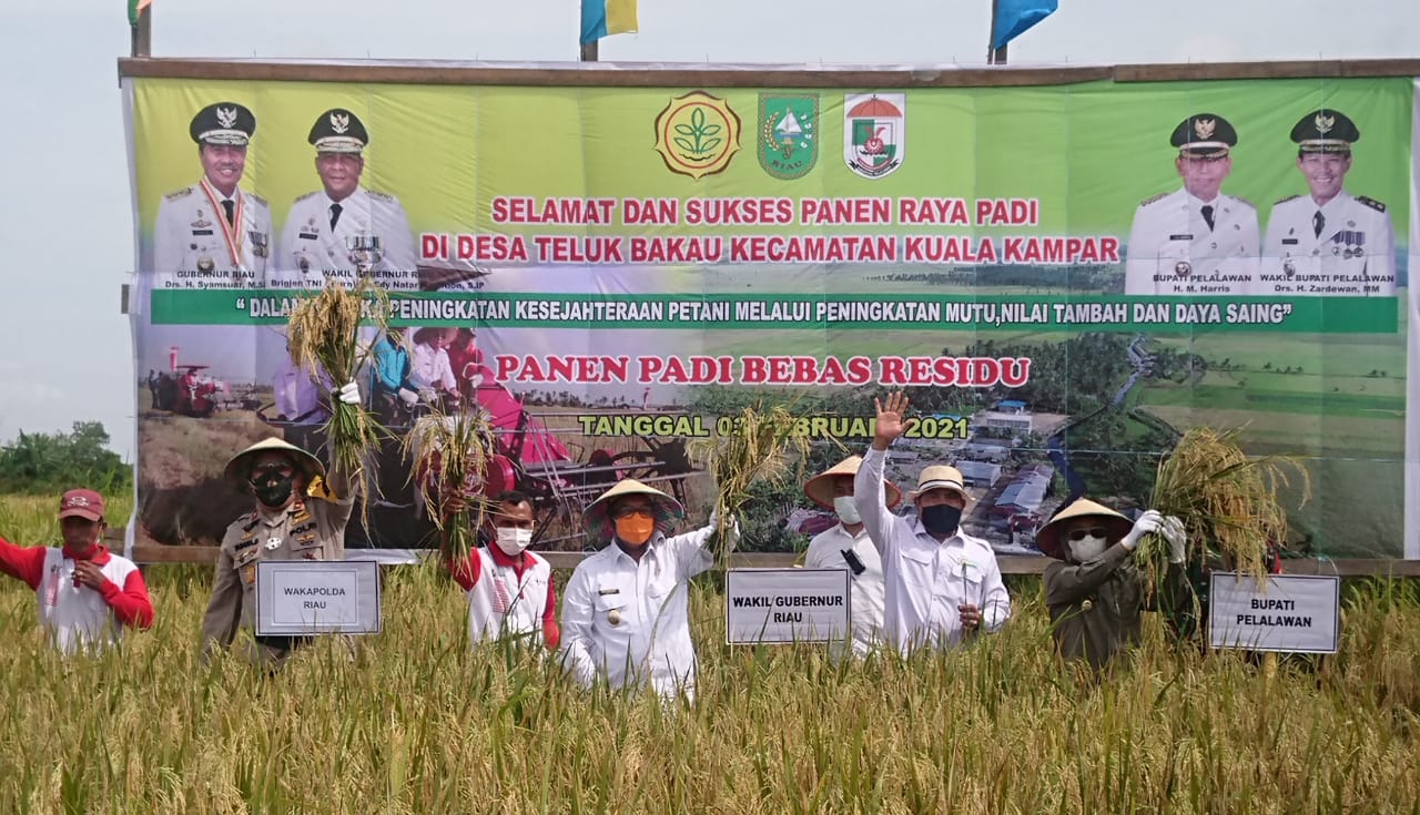 Hadiri Panen Raya di Kuala Kampar Pelalawan, Wagubri: Tingkatkan Kerjasama dengan Pemerintah