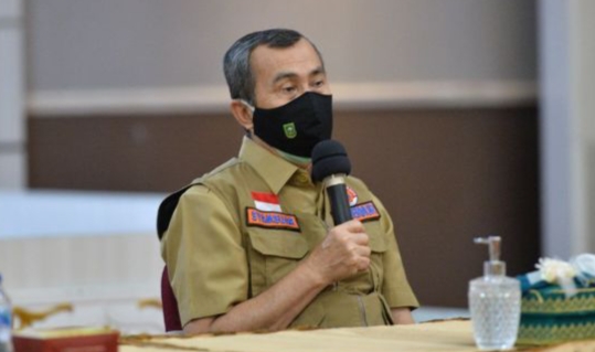 Pendatang Wajib Rapid Test Covid-19, Gubri Imbau Satgas Kabupaten Kota Aktifkan Pos Perbatasan