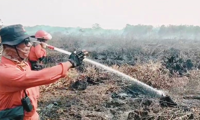 Ratusan Hotspot Karhutla Terpantau di 8 Provinsi Sumatera, Riau Sumbang 40 Titik
