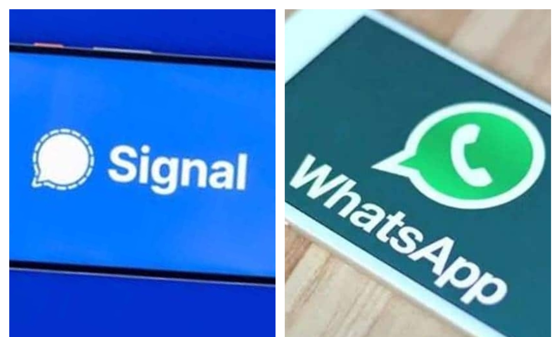 Banyak Beralih ke Signal, Setelah WhatsApp Tak Lindungi Privasi Data Pengguna