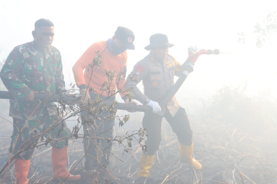 Puluhan Hotspot Karhutla Terdeteksi di Riau, Meranti Terbanyak
