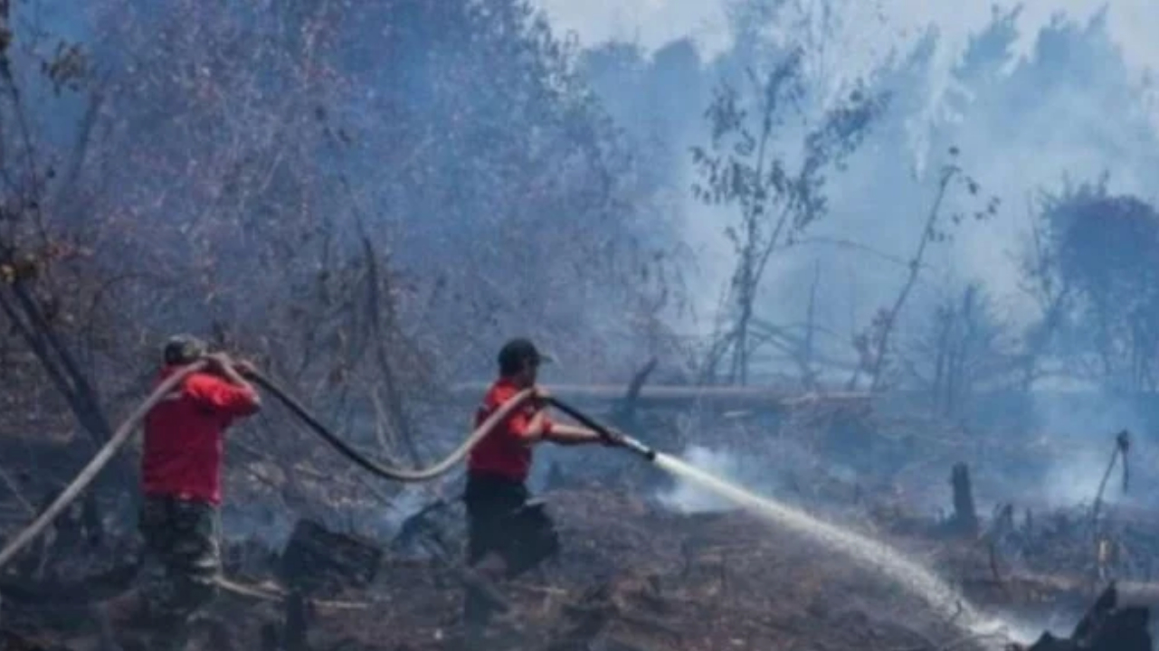 Sepanjang Tahun 2020 Kasus Karhutla Menurun, Kabareskrim : Tegakkan Hukum Tanpa Kompromi