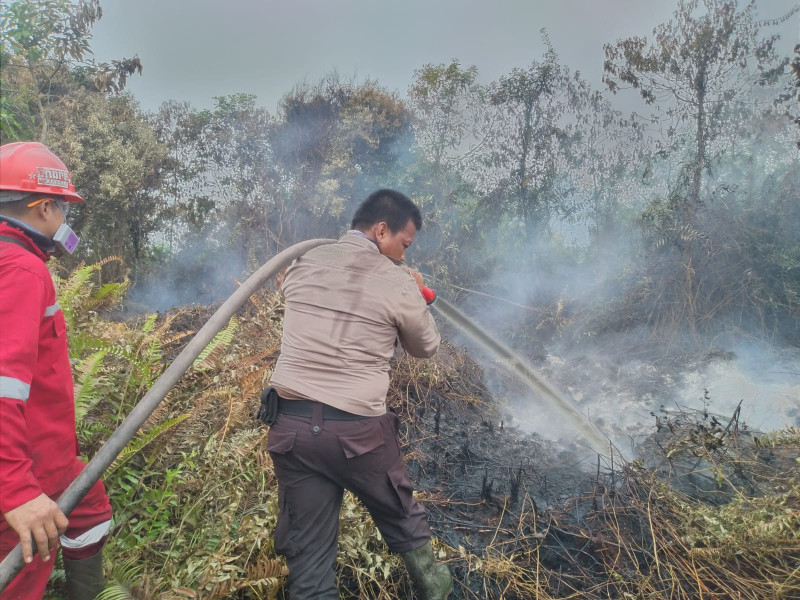 Hari Ini 20 Hotspot Karhutla Terdeteksi di Riau, Inhu Terbanyak