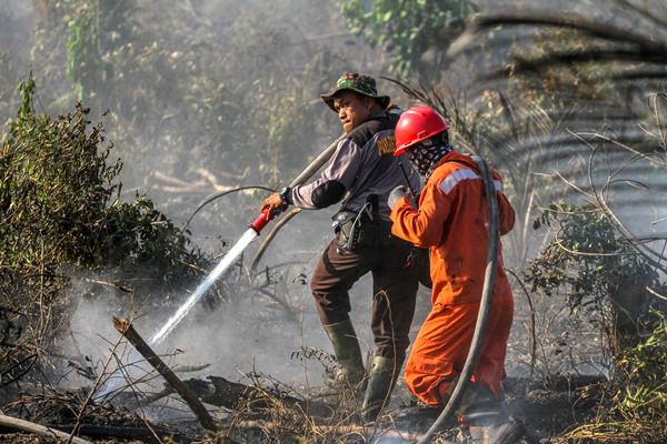 Total Bakar 127,5 Hektar Lahan, 9 Orang Ditahan Polda Riau