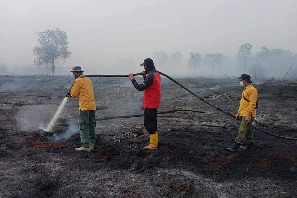 Siaga Karhutla, 11 Hotspot Terdeteksi di Riau, Tebanyak di Meranti