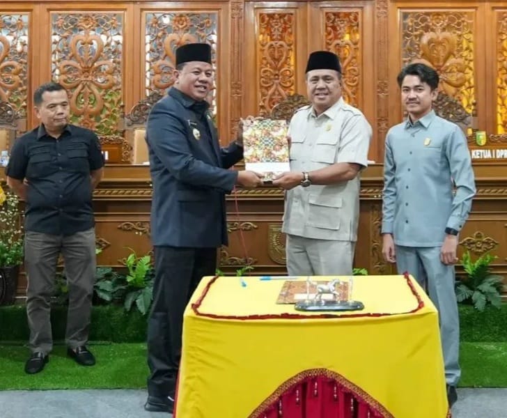 Soroti Perda MHA Kuansing, Praktisi Hukum: Kuansing Tidak Mengenal Luhak!