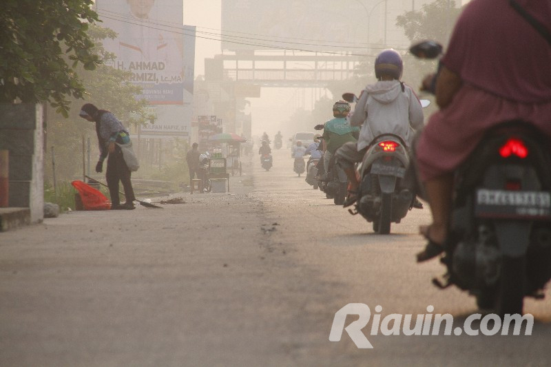 Total 220 Hotspot Karhutla Terdeteksi di Riau, 182 di Inhu