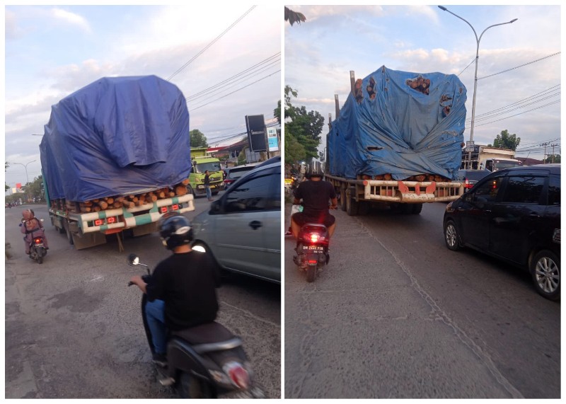 Truk Tronton Bawa Kayu Akasia Bebas Masuk Kota Pekanbaru di Siang Hari, Kemana Petugas?