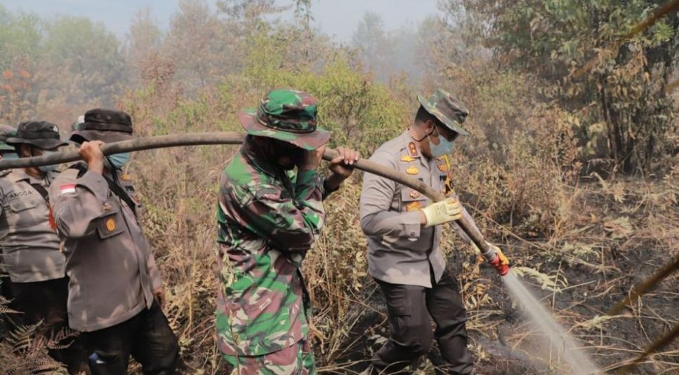 Diguyur Hujan, Api yang Membakar Lahan di Riau Padam