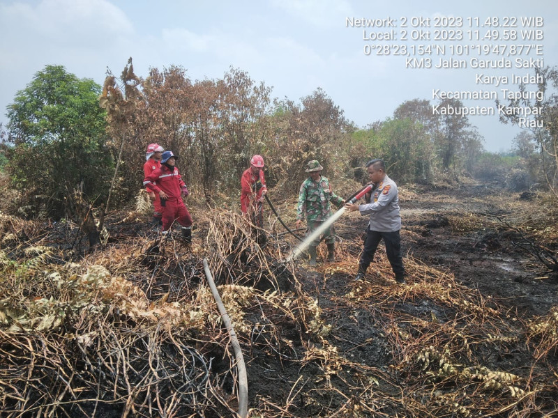 BMKG Deteksi 114 Hotspot Karhutla di 7 Provinsi Sumatera