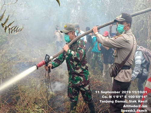Dandim 0303 Bengkalis Terjun Langsung Pemadaman Dan Pendinginan Karhutla 