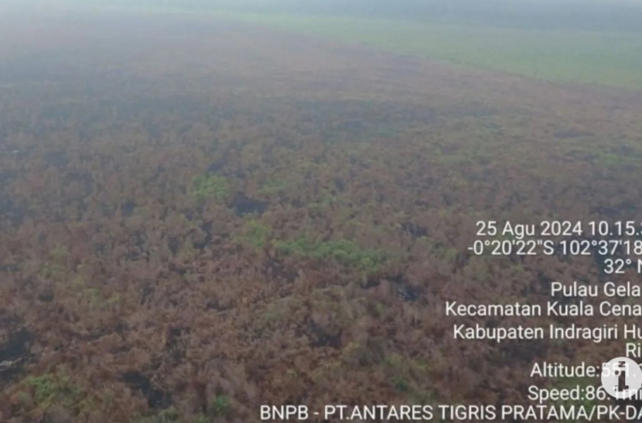 Petugas Gabungan Padamkan Api yang Membakar Semak Belukar di Kuala Cenaku Inhu