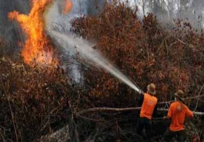 Antisipasi Bencana, BPBD Meranti Butuh Tambahan Personel