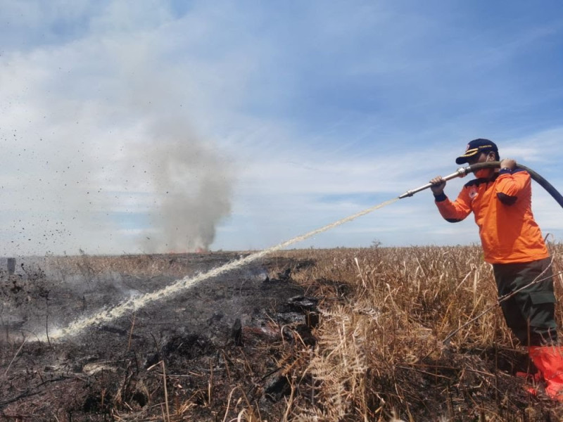 Ribuan Hotspot Karhutla Terdeteksi di Sumatera, Sumsel Rekor