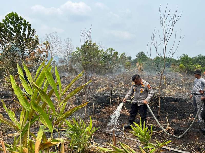 BMKG Deteksi Lonjakan Hotspot Karhutla di 6 Provinsi Sumatera