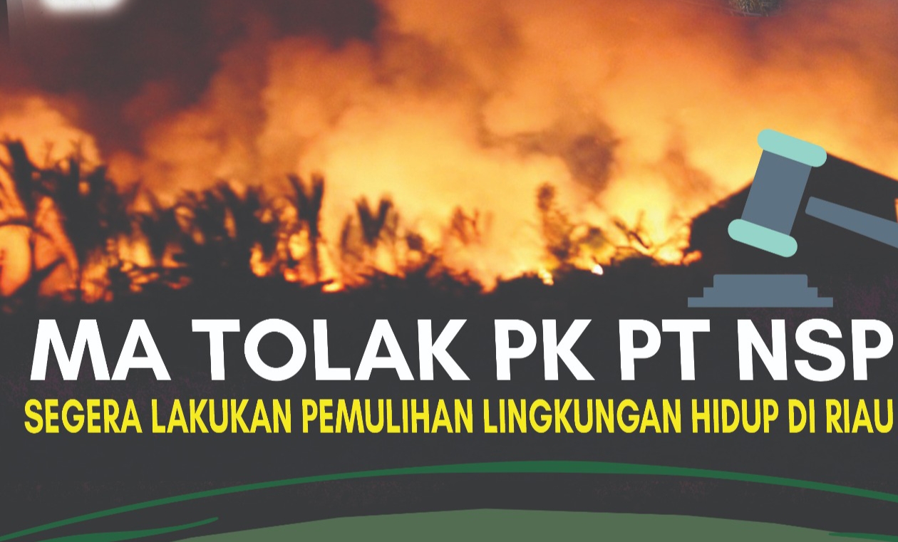 MA Tolak PK PT NSP, Walhi Riau: Segera Lakukan Pemulihan Lingkungan Hidup di Meranti