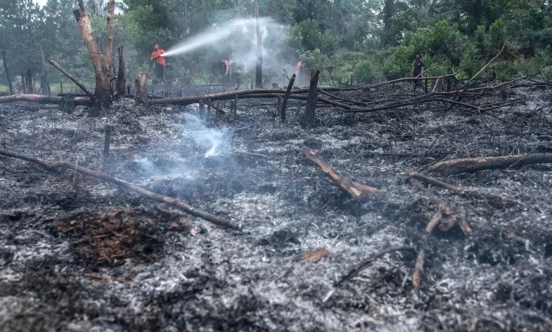 Lahan Terbakar 9,4 Hektar, Direktur PT DSI di Siak Ditetapkan Tersangka