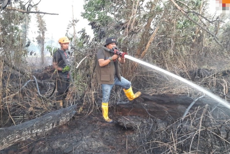 Sepuluh Hektar Lahan Gambut di Inhil Kembali Terbakar