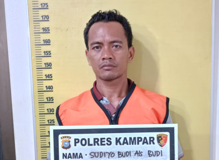 Tersangka Pembakar Lahan Milik Pemkab Kampar Dibekuk Polisi