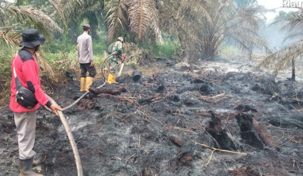 Karhutla di Riau, 68 Hotspot Terdeteksi di Rohil