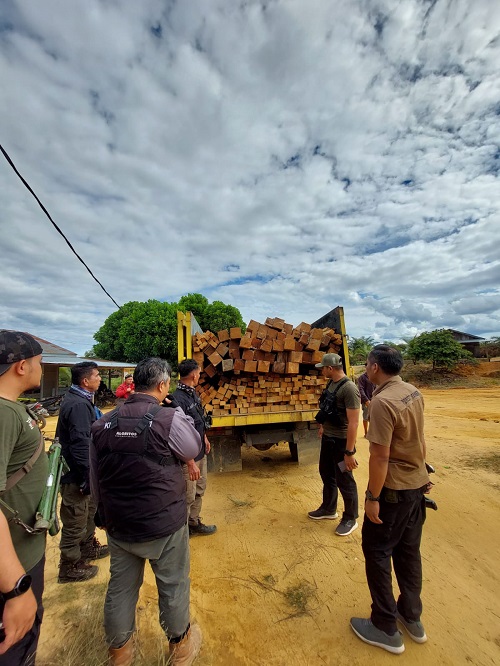 Patroli Bersama KPH Indragiri dan Balai TNBT Temukan Puluhan Kubik Kayu Ilegal di Desa Siambul