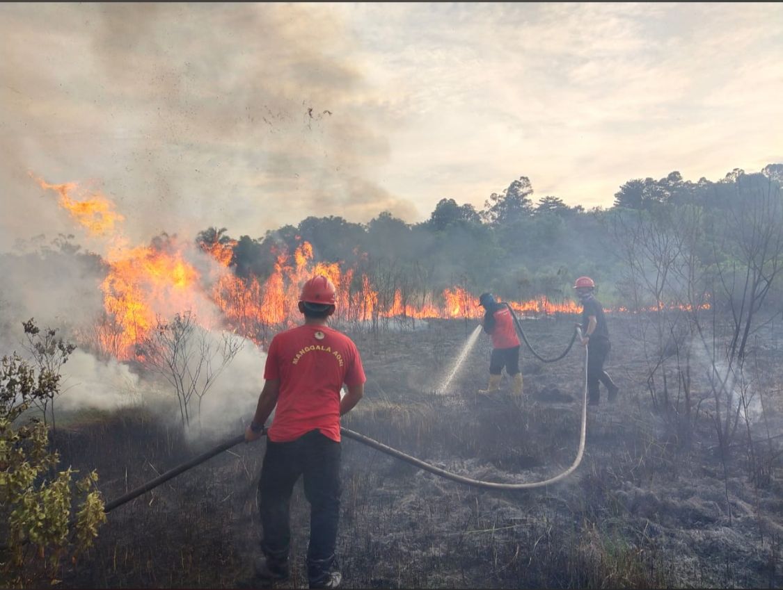 Dua Ratus Lebih Desa di Riau Berstatus Rawan Karhutla