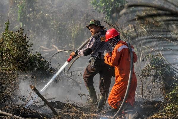 BMKG Deteksi 45 Hotspot Karhutla di Sumatera, Riau 9 Titik