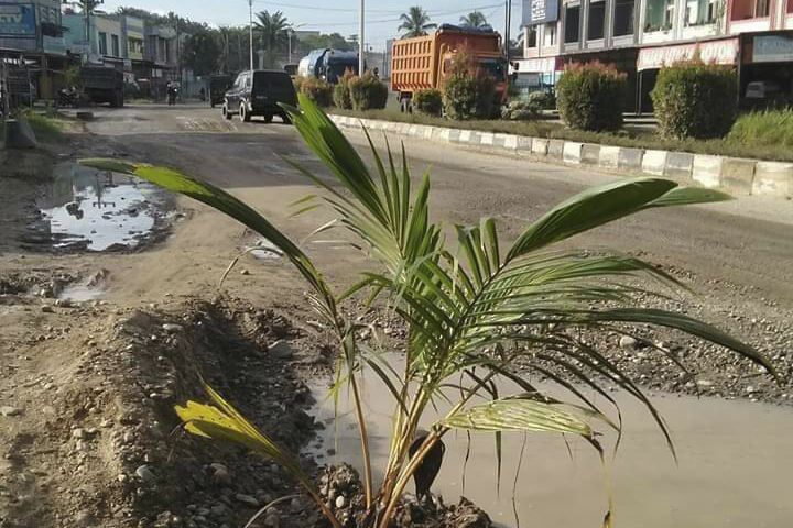 Jalan Rusak Ujung Batu-Tandun Ditanami Sawit, DPRD Riau: Tindak Truk Melebihi Tonase!