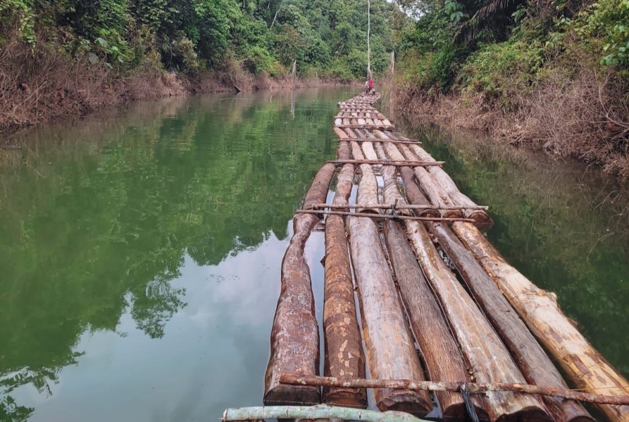 Temuan Kayu Diduga Illegal Logging di Kampar, Polisi Lakukan Penyelidikan