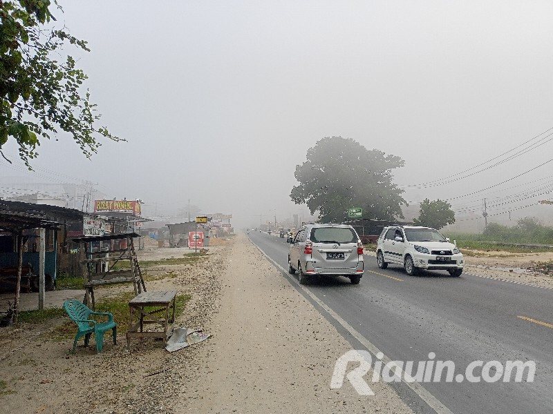 BMKG Deteksi Peningkatan Hotspot Karhutla di Riau, Indragiri Hulu Tertinggi