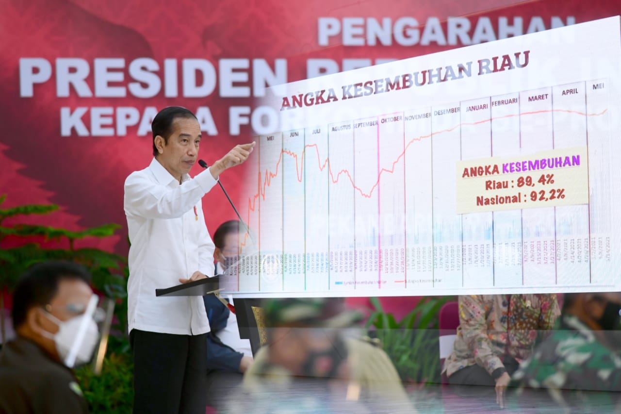 Presiden Jokowi Dorong Kerja Sama Daerah Tangani Pandemi Covid-19