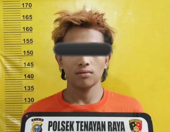 Polisi Ringkus ABG Usai Beraksi Curanmor di 12 Lokasi