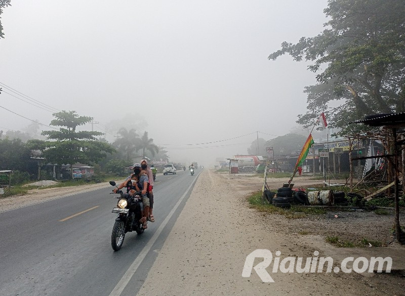 Terpantau 1.267 Hotspot Karhutla di 8 Provinsi Sumatera, Sumsel Tertinggi