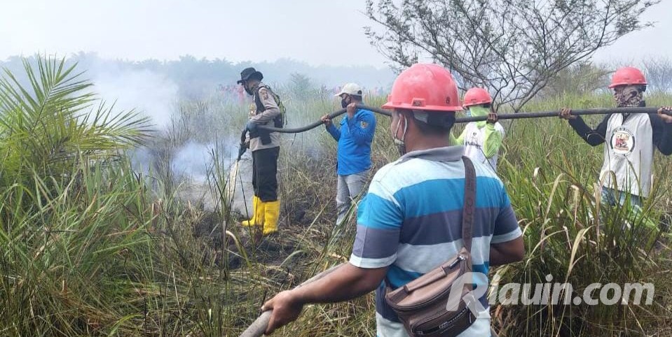 3 Hektar Lahan Terbakar, PT SSR Turunkan Tim Padamkan Karhutla di Rawa Bangun Inhu