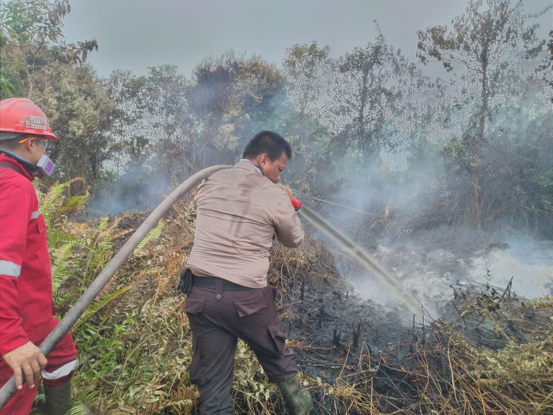 BMKG Deteksi 80 Hotspot Karhutla di Riau, Inhu Terbanyak
