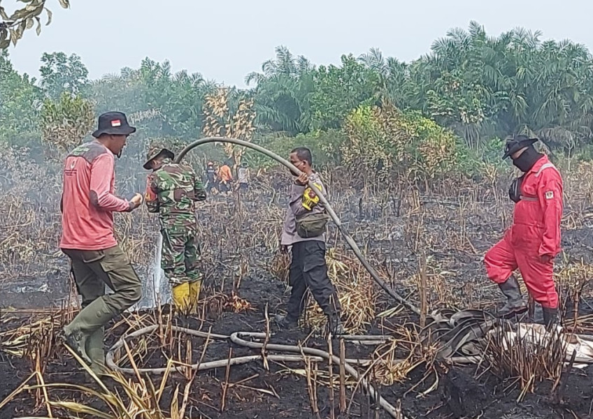 Hotspot Karhutla di Riau Meningkat, Terbanyak di Kampar