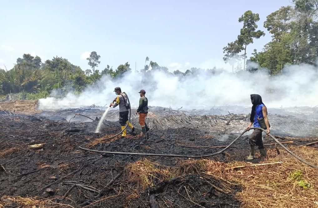 Sudah Dua Hari, 25 Hektar Lahan di Bengkalis Terbakar