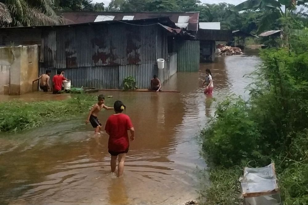 Banjir di Tapung Kampar, Rendam 40 Ha Kebu Sawit dan Rndam 13 Rumah