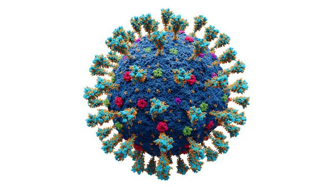 WHO Konfirmasi Deltacron, Mutasi Baru Virus Corona Varian Delta-Omicron